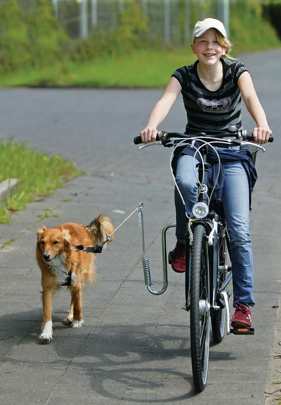 DOGGY-SPRINTER Führhalter für Fahrräder
