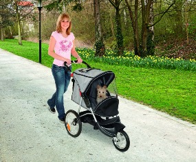 Sport Buggy