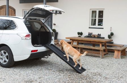 Hunderampe leicht und stabil